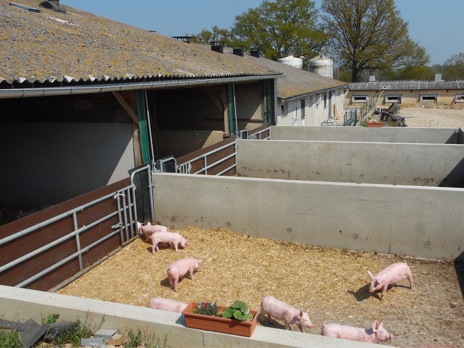 La Corbiniere Vente De Porc Mayenne Img 5